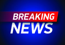 Petersfield Christmas Parade cancelled