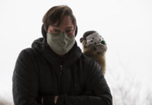 Manitoba Merv predicts early spring